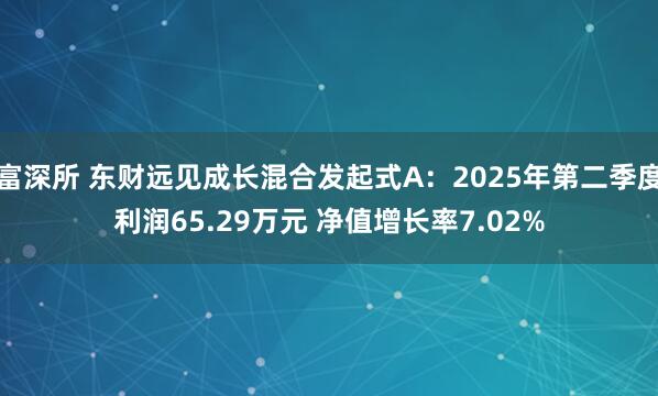 富深所 东财远见成长混合发起式A：2025年第二季度利润65.29万元 净值增长率7.02%