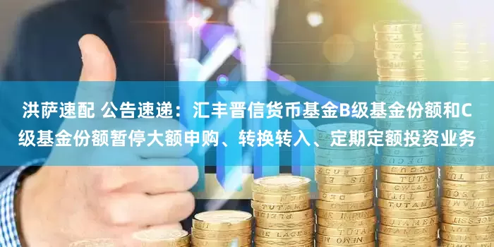 洪萨速配 公告速递：汇丰晋信货币基金B级基金份额和C级基金份额暂停大额申购、转换转入、定期定额投资业务