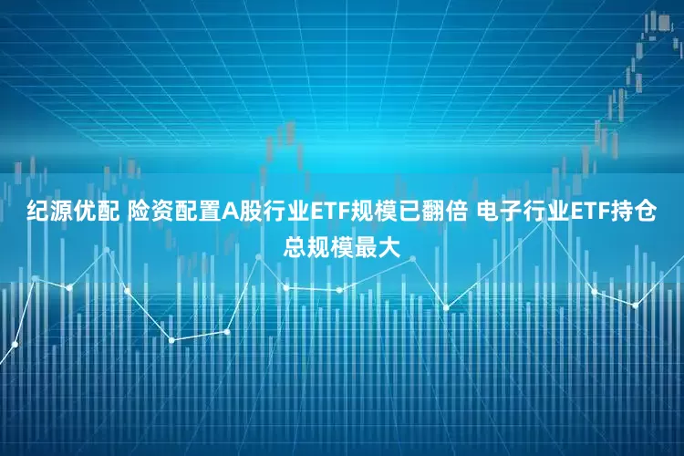 纪源优配 险资配置A股行业ETF规模已翻倍 电子行业ETF持仓总规模最大